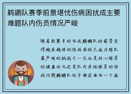 鹈鹕队赛季前景堪忧伤病困扰成主要难题队内伤员情况严峻