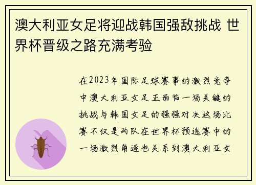 澳大利亚女足将迎战韩国强敌挑战 世界杯晋级之路充满考验